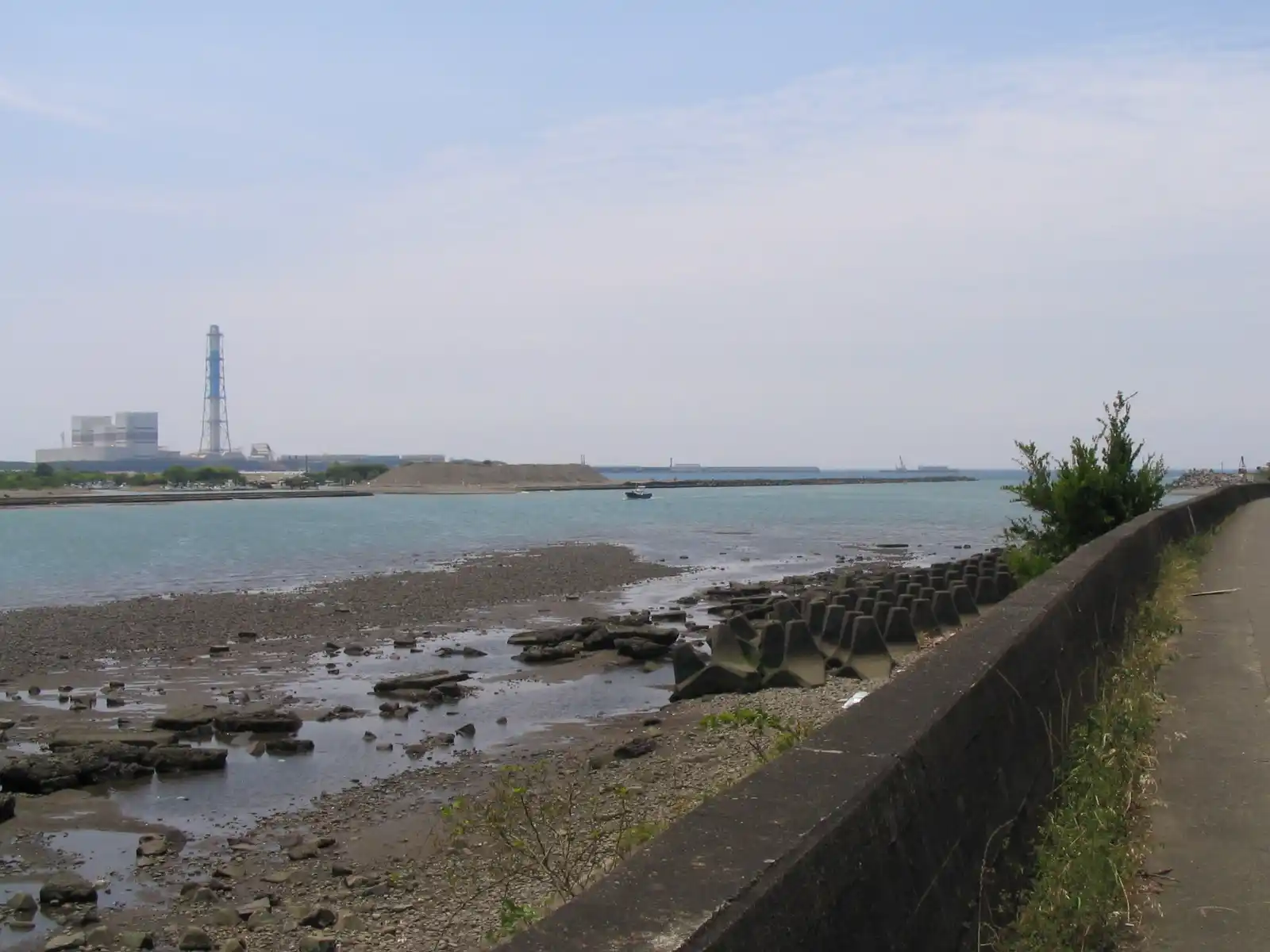 日高川河口北岸