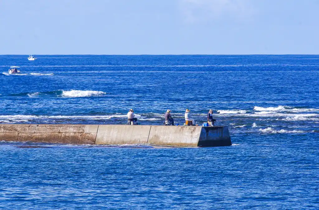 森の鼻～南部堺漁港