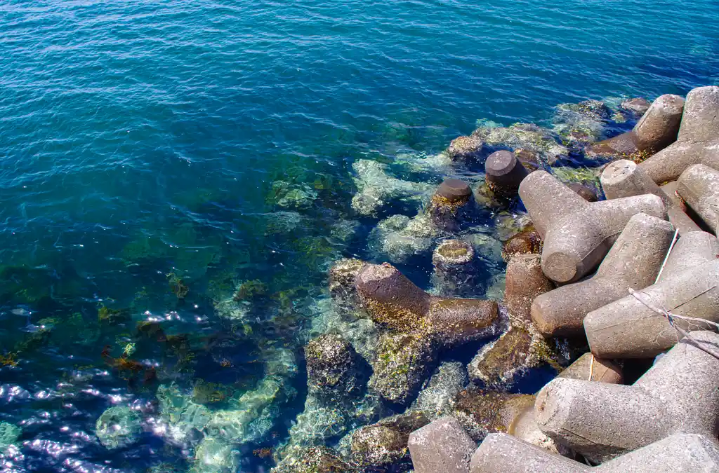 森の鼻～南部堺漁港