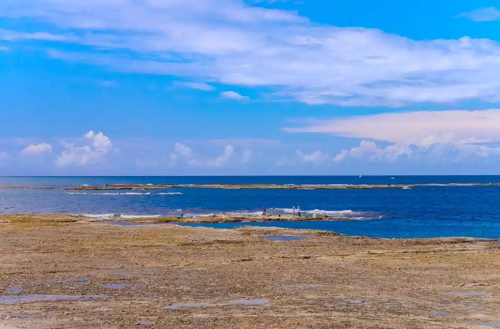 森の鼻～南部堺漁港