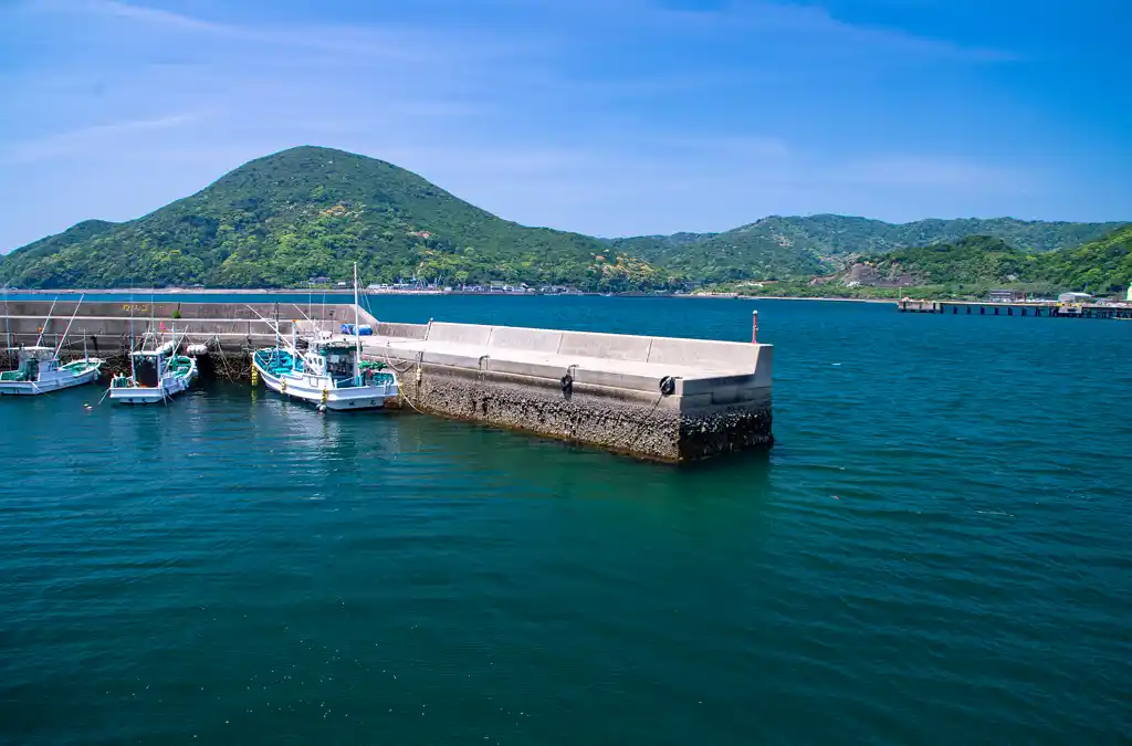 由良湾の釣り場