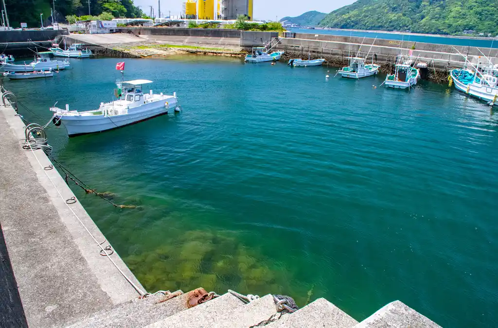 由良湾の釣り場